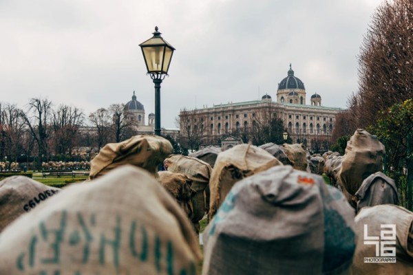 + Tree protection in Vienna gardens during winter.