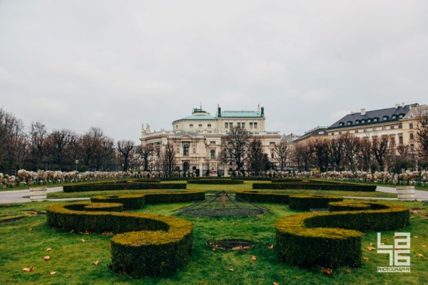 + Vienna gardens look beautiful even in winter.