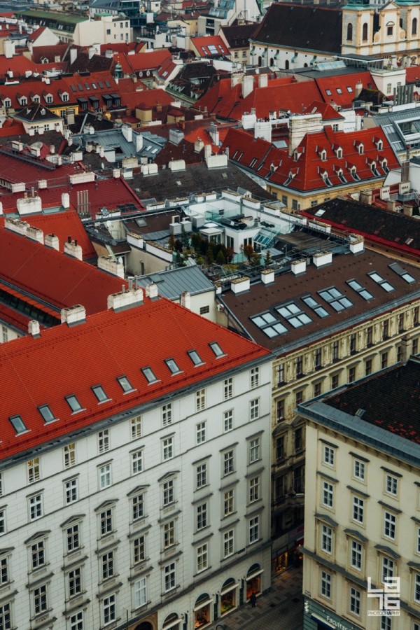 + Vienna rooftops.